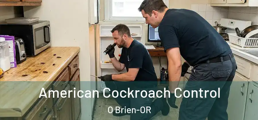 American Cockroach Control O Brien-OR