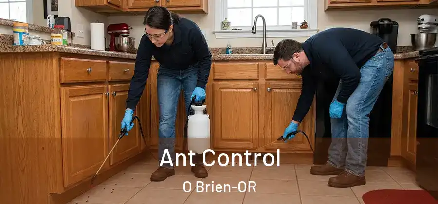 Ant Control O Brien-OR