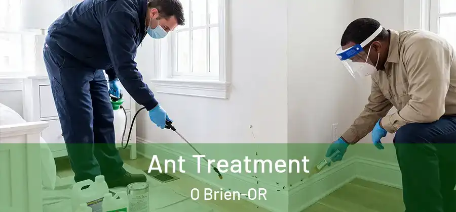  Ant Treatment O Brien-OR
