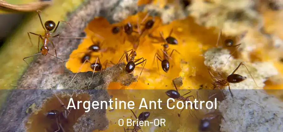  Argentine Ant Control O Brien-OR