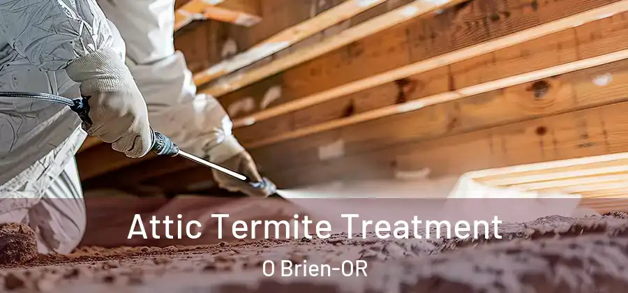  Attic Termite Treatment O Brien-OR
