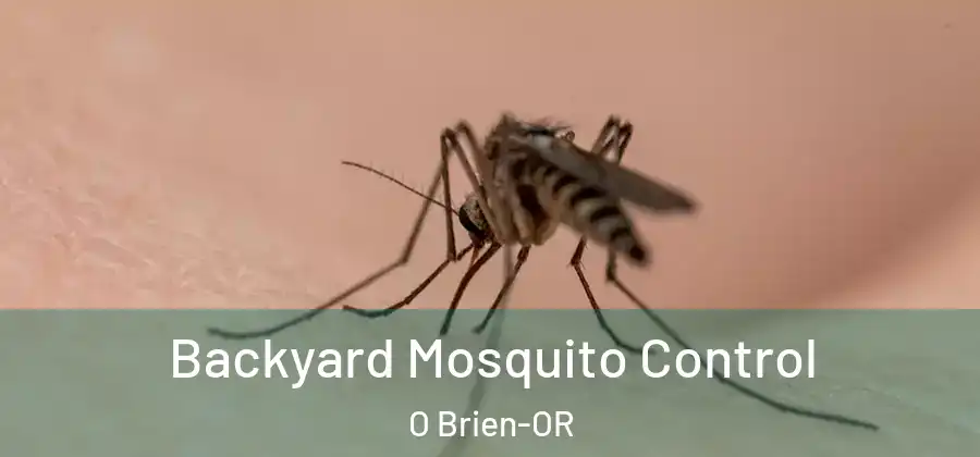 Backyard Mosquito Control O Brien-OR