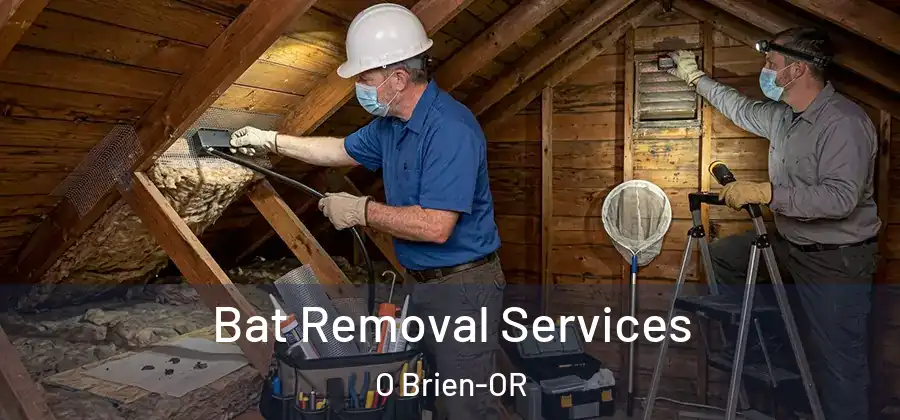 Bat Removal Services O Brien-OR