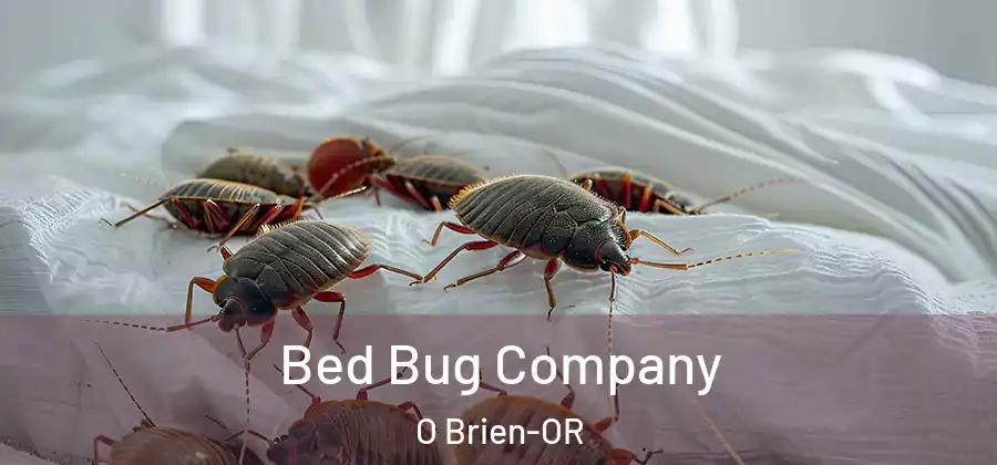 Bed Bug Company O Brien-OR