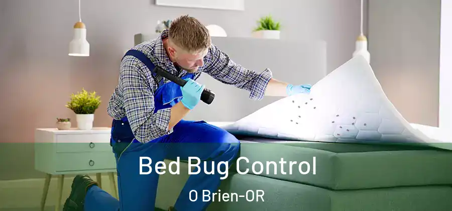 Bed Bug Control O Brien-OR