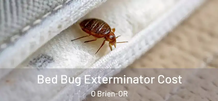 Bed Bug Exterminator Cost O Brien-OR