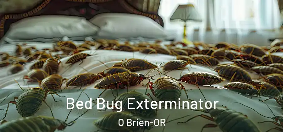 Bed Bug Exterminator O Brien-OR
