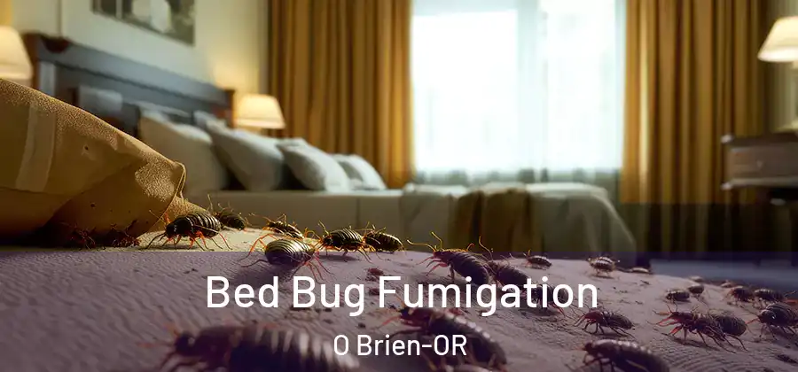  Bed Bug Fumigation O Brien-OR