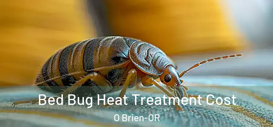 Bed Bug Heat Treatment Cost O Brien-OR