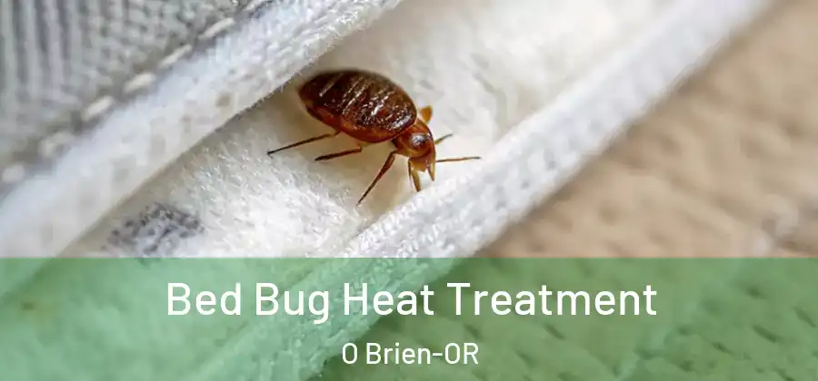 Bed Bug Heat Treatment O Brien-OR