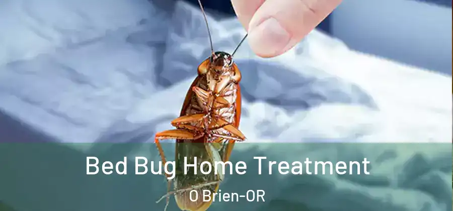 Bed Bug Home Treatment O Brien-OR