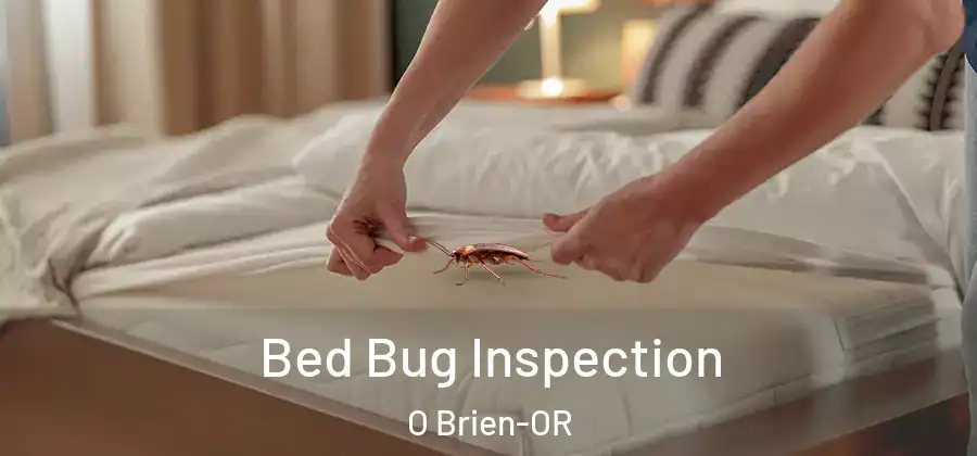 Bed Bug Inspection O Brien-OR