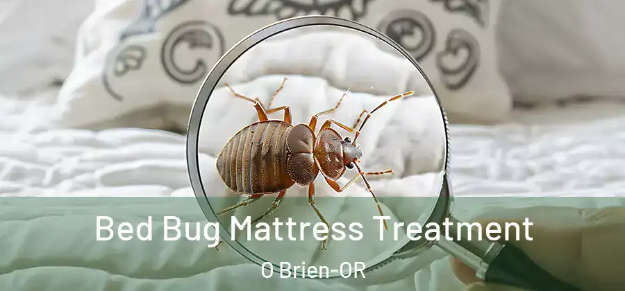 Bed Bug Mattress Treatment O Brien-OR