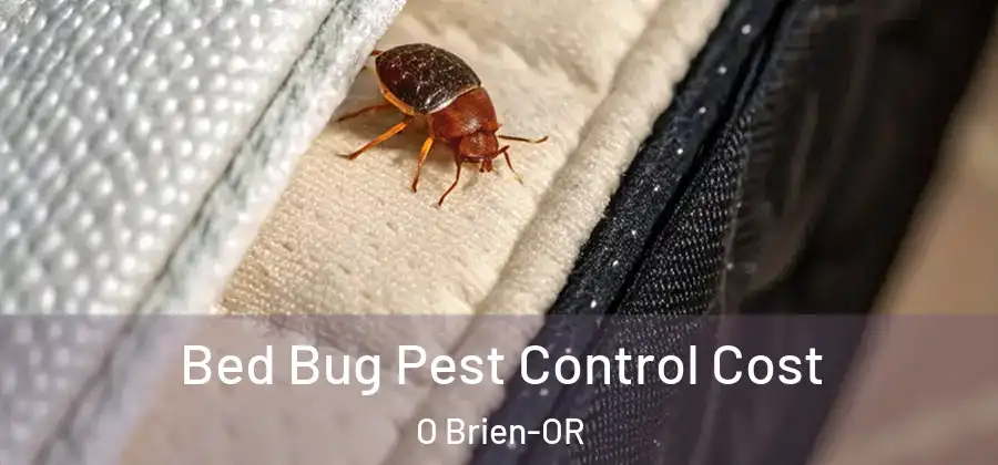  Bed Bug Pest Control Cost O Brien-OR