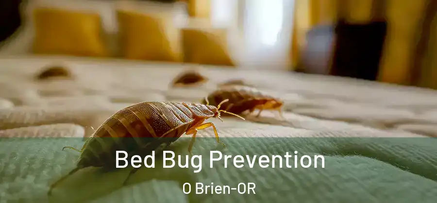 Bed Bug Prevention O Brien-OR