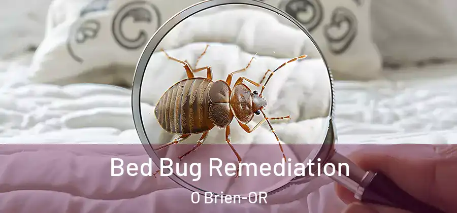 Bed Bug Remediation O Brien-OR