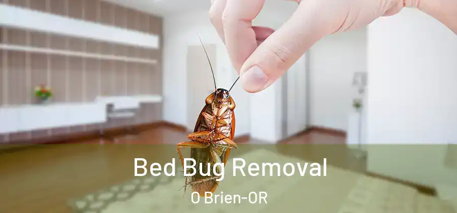 Bed Bug Removal O Brien-OR