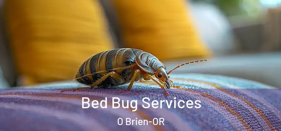 Bed Bug Services O Brien-OR