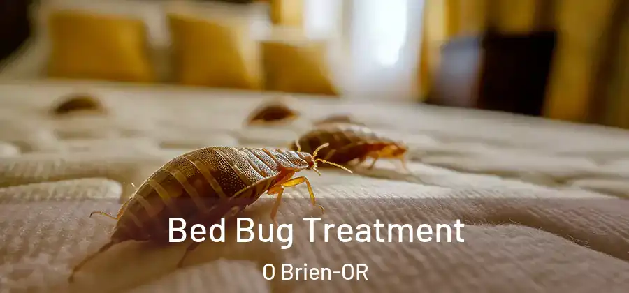 Bed Bug Treatment O Brien-OR