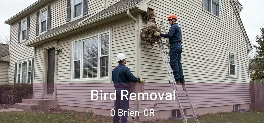 Bird Removal O Brien-OR