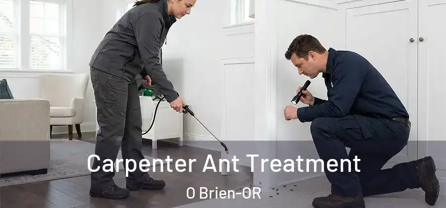  Carpenter Ant Treatment O Brien-OR