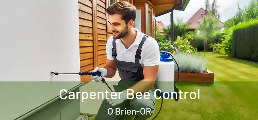 Carpenter Bee Control O Brien-OR