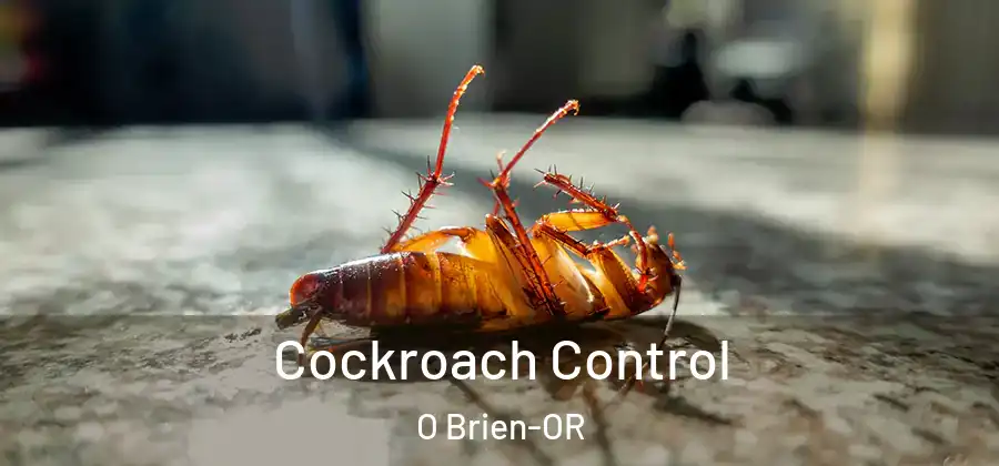 Cockroach Control O Brien-OR