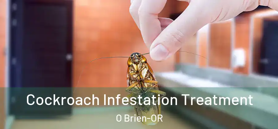  Cockroach Infestation Treatment O Brien-OR
