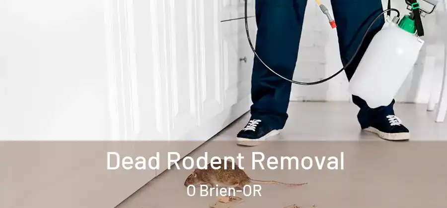 Dead Rodent Removal O Brien-OR