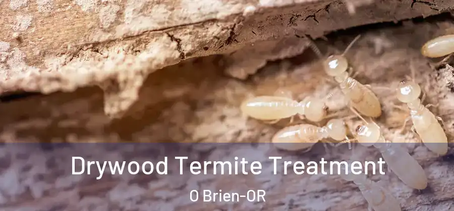  Drywood Termite Treatment O Brien-OR