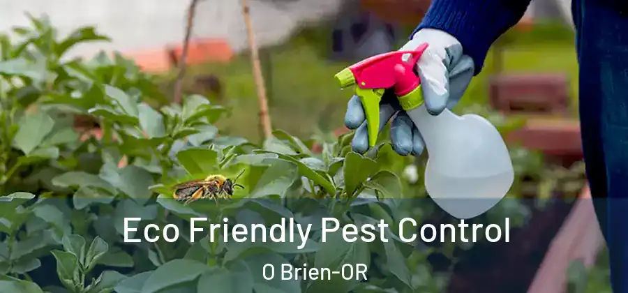  Eco Friendly Pest Control O Brien-OR