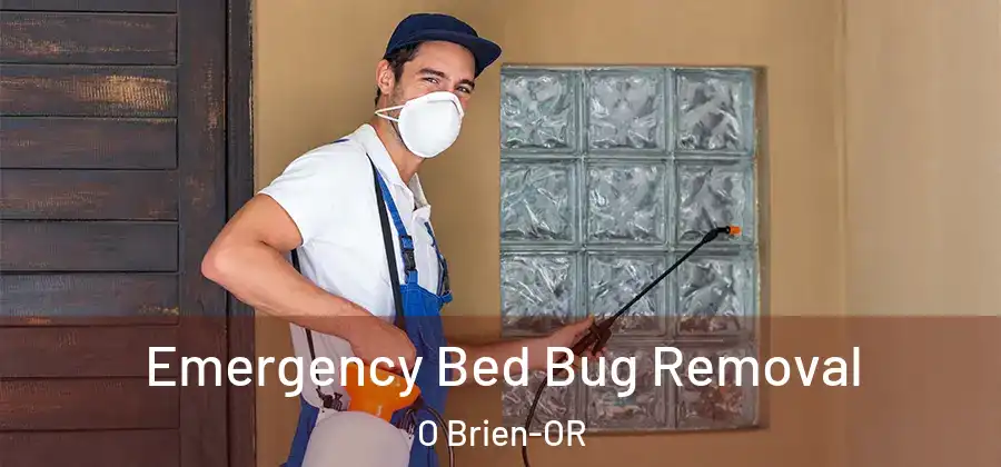 Emergency Bed Bug Removal O Brien-OR
