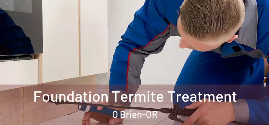  Foundation Termite Treatment O Brien-OR