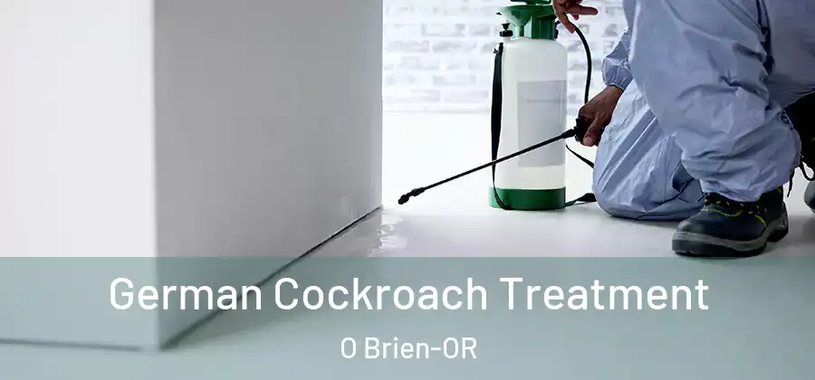 German Cockroach Treatment O Brien-OR