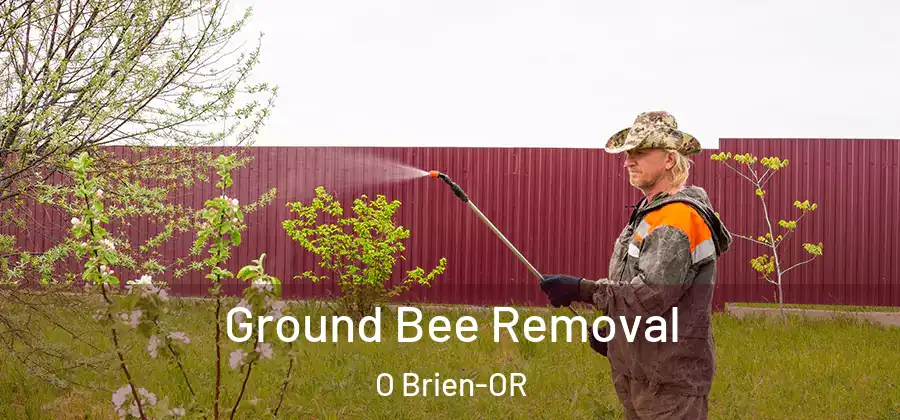  Ground Bee Removal O Brien-OR