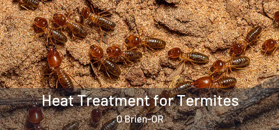 Heat Treatment for Termites O Brien-OR