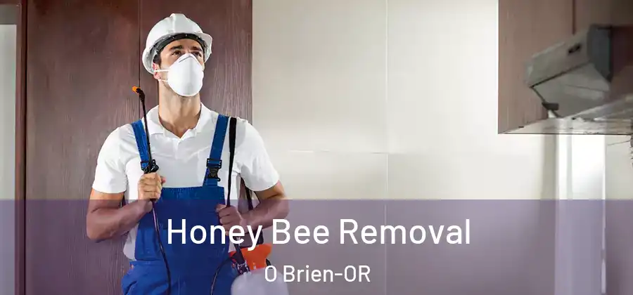  Honey Bee Removal O Brien-OR