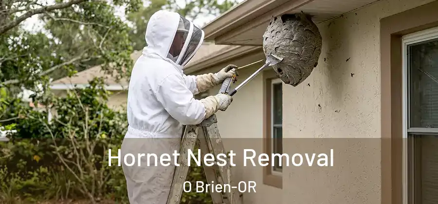 Hornet Nest Removal O Brien-OR
