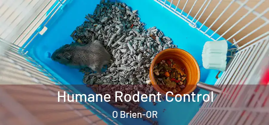 Humane Rodent Control O Brien-OR