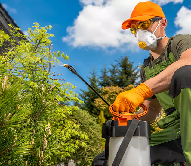 Your Mosquito Repellent Barrier Service in O Brien, OR