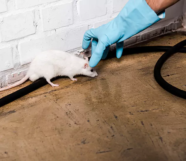Your Pest Control Partner in O Brien, OR