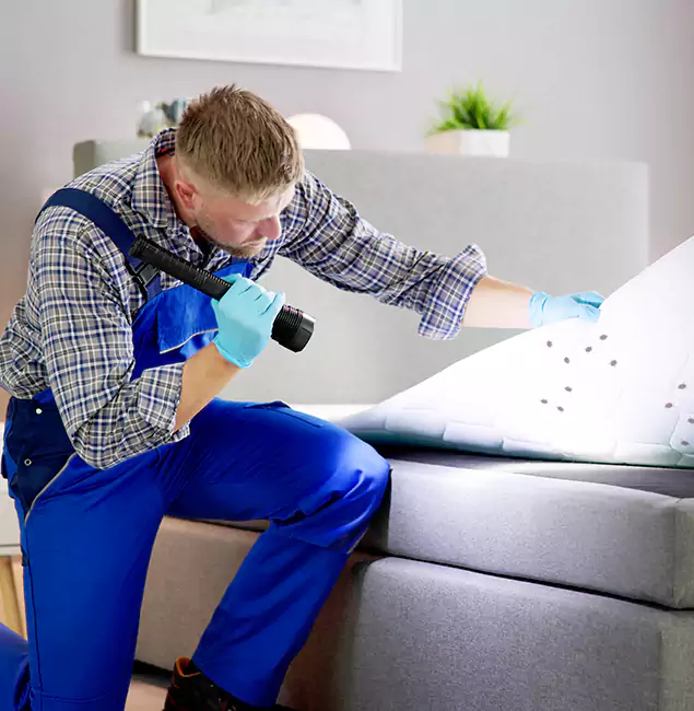 Why Choose Nutley Pest Control Pro For Bed Bug Heat Treatment in O Brien, OR?