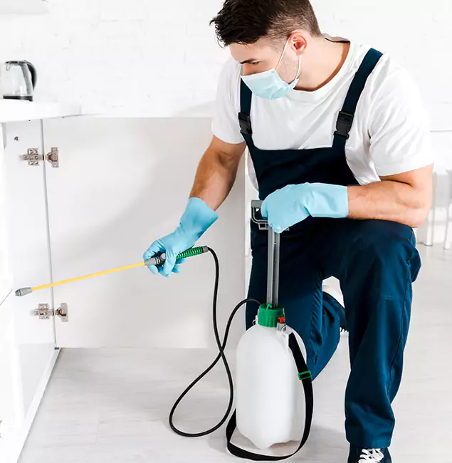 Why Choose Nutley Pest Control Pro for Indoor Pest Control in O Brien, OR?
