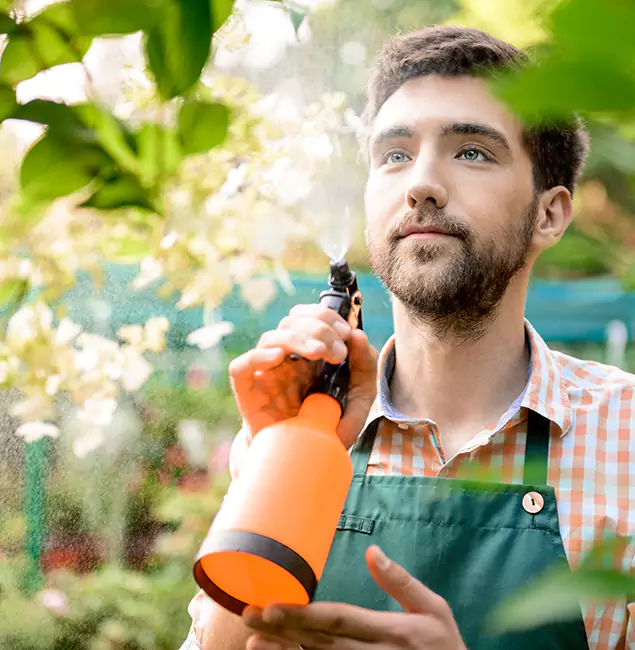 Why Nutley Pest Control Pro Is the Best Mosquito Control Company in O Brien, OR?