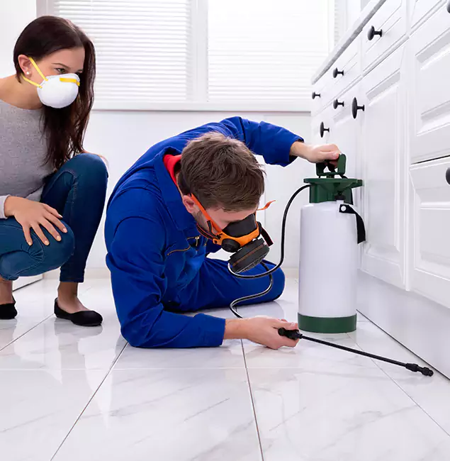 Why Choose Nutley Pest Control Pro for Termite Inspection Cost in O Brien, OR?