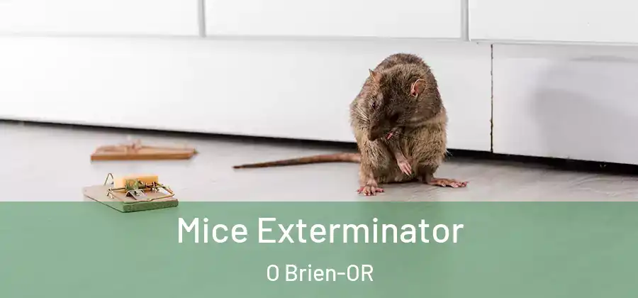  Mice Exterminator O Brien-OR