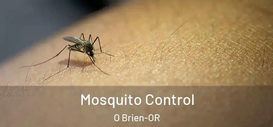  Mosquito Control O Brien-OR