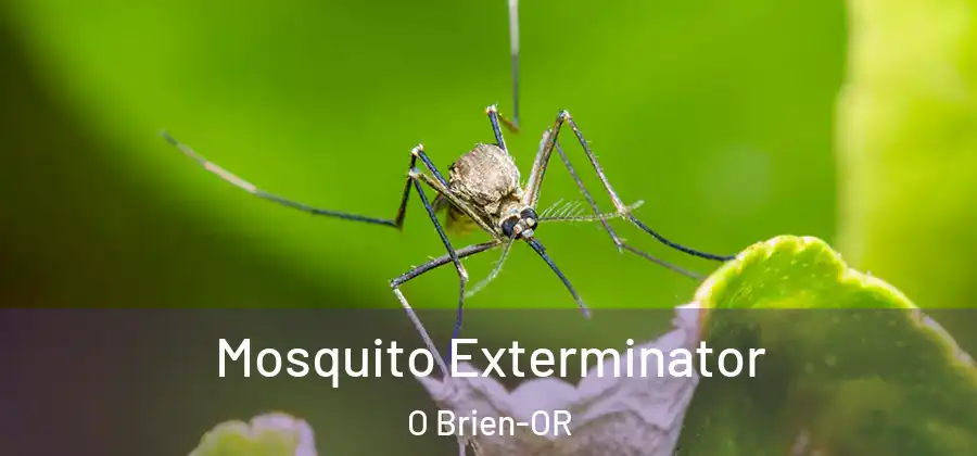 Mosquito Exterminator O Brien-OR