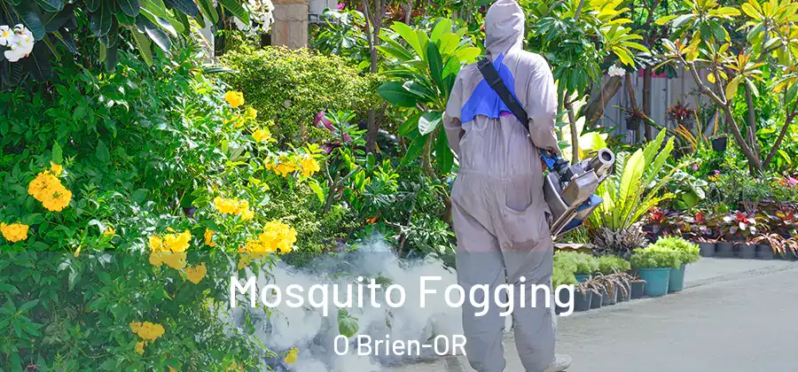  Mosquito Fogging O Brien-OR