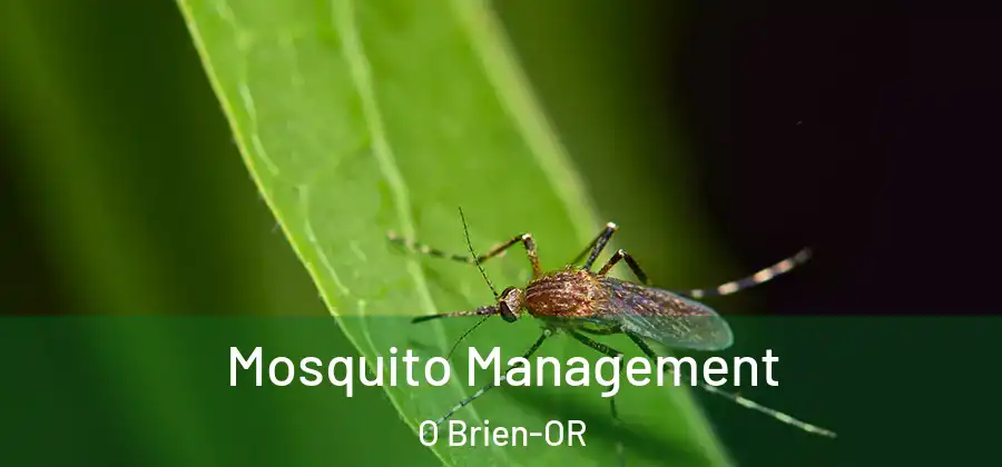 Mosquito Management O Brien-OR